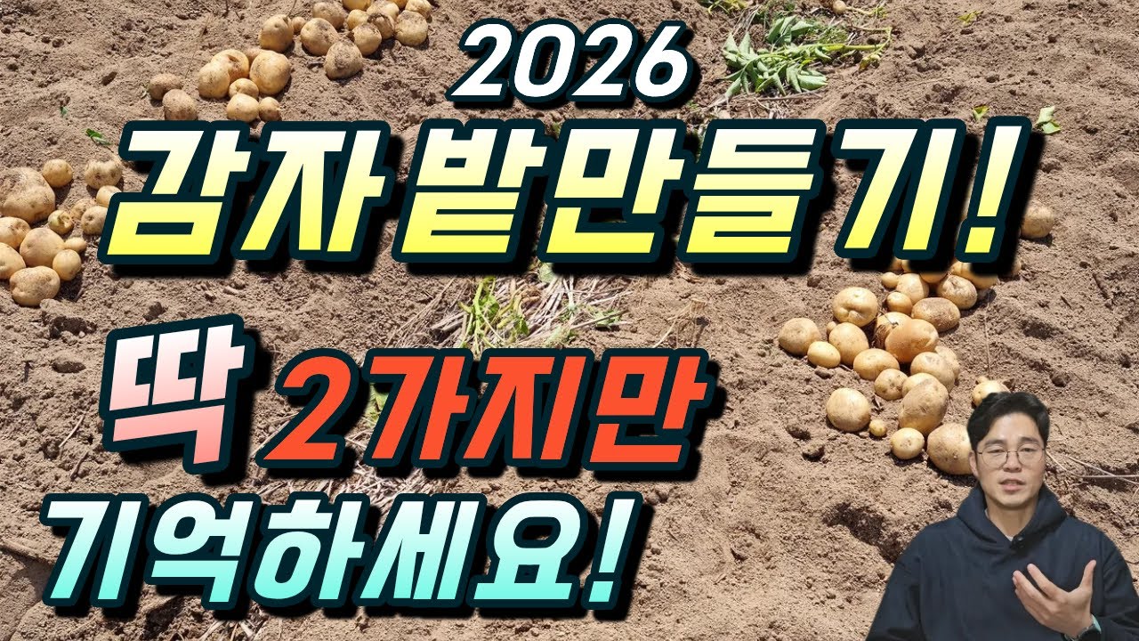 감자밭 이렇게만 만드시면 됩니다. 20년된 농약사에서 알려주는 봄감자 밭만드는 요령. #감자재배 #농사친구