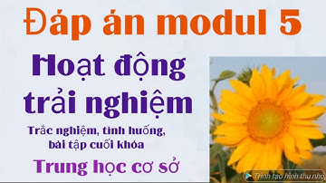Modul 5 Hoạt động trải nghiệm THCS/ trắc nghiệm, tình huống, bài tập cuối khóa/ Có cách tải bản word