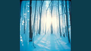 Snowdrift Burial