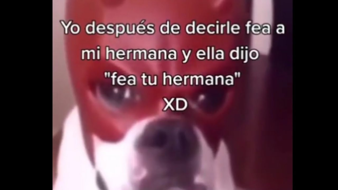 Yo después de decirle fea a mi hermana y ella dijo "fea tu hermana