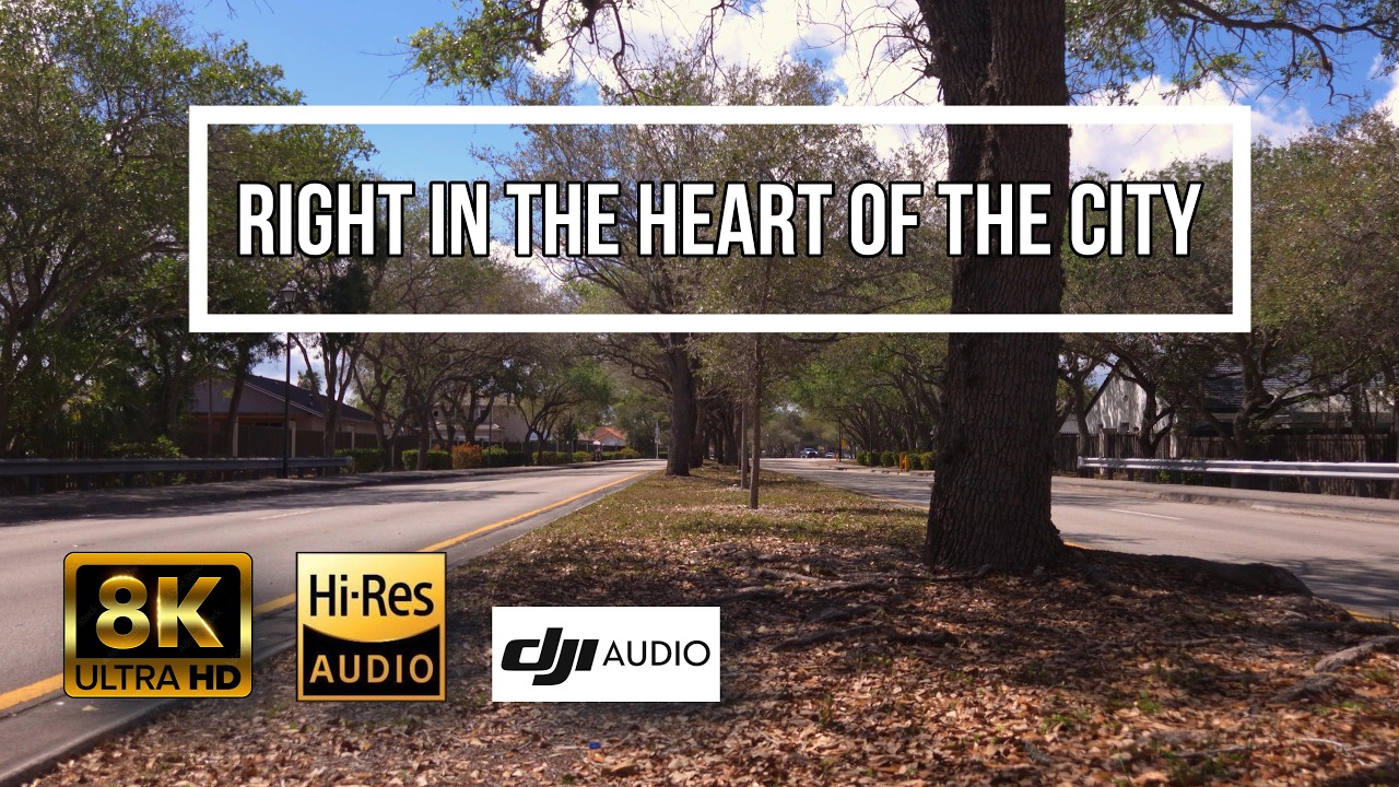 Busy Miami Street in 8K 🌴 | Real City Sounds & Daytime Atmosphere (No Music)