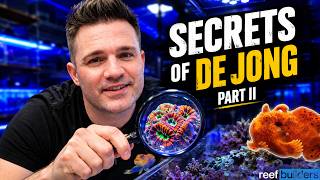 What are the Secrets Behind De Jong Marinelife (Netherlands) || Part-2