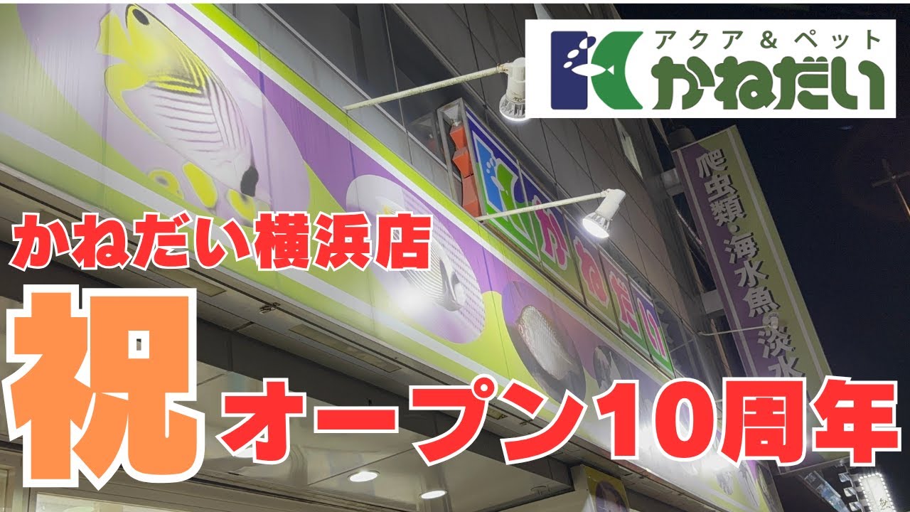 横浜手渡し おデコショップさま専用 横浜手渡し おデコショップさま