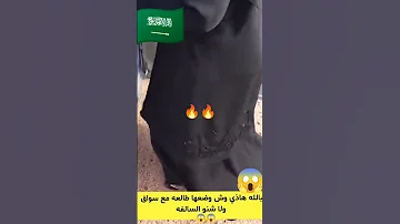 هل تشوفها موضه جديده وش فهمت من هاذا المقطع الذي حير الجميع في المملكة السعودية 