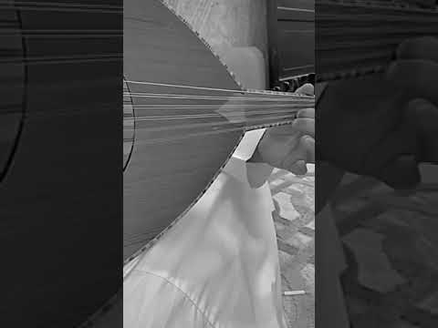 دق عود بدون حقوق