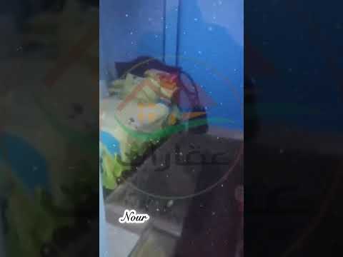 شقه للبيع او للايجار شبرا الخيمة محطة الفيلا