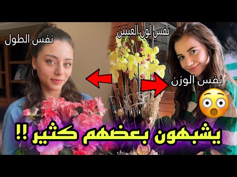 تعرف على التشابه العظيم بين سيلا تورك اوغلو و ياغمور يويل ما هي الميزات المختلفة بينهما