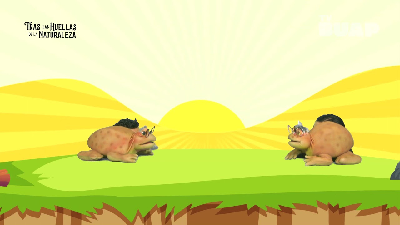 Tras las huellas de la Naturaleza  emisión 11 TV BUAP