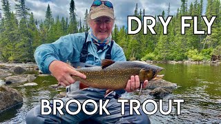 Ultimate Labrador Brook Trout Fishing