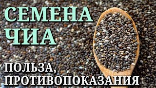СЕМЕНА ЧИА. Состав, полезные свойства и противопоказания, как употреблять СЕМЕНА ЧИА. Состав, полезные свойства и противопоказания, как употреблять