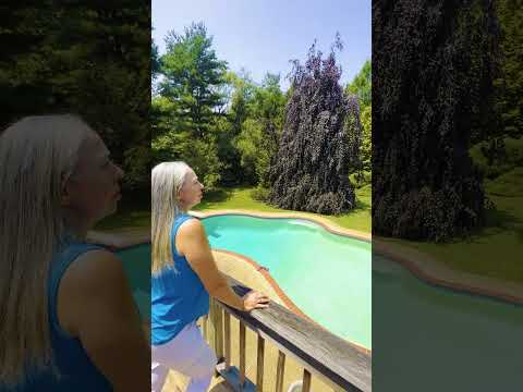 5586 Linton Road, Sykesville, MD home video tour