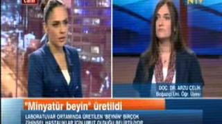 Ntv - Konuk Boğaziçi Üni. Moleküler Biyoloji Ve Genetik Blm. Öğr. Üys. Doç. Dr. Arzu Çelik