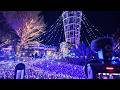 Enoshima - cats and Christmas lights 2023・4K HDR