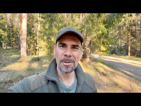Hike around Lake Nõmmejärv in Alutaguse National Park - (Estonia Forest Camping Part 3)