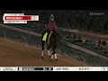 Kentucky Derby Contender- INCREDIBOLT 4/27