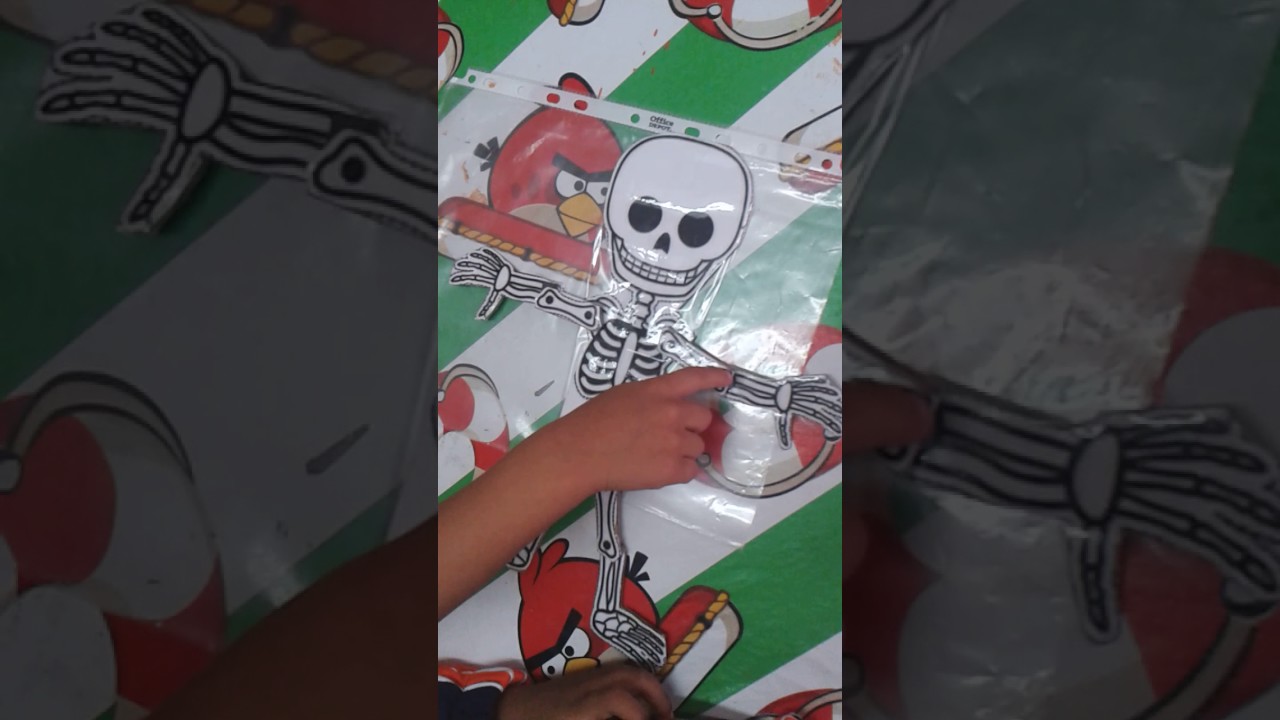 rompecabezas del esqueleto humano