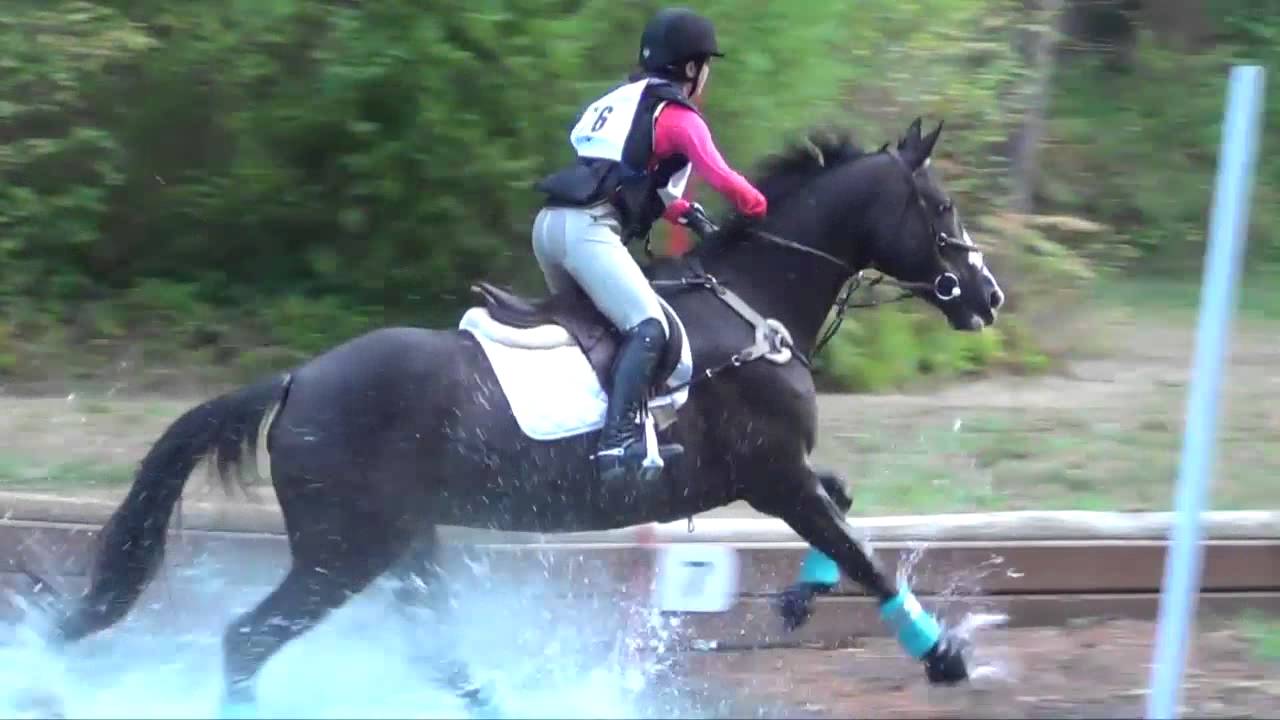 Morgan Roe Morgan Roe riding My Transit of Venus; AFHT, September 2015 - YouTube