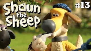 Whistleblower X3 Episodes Season 2 Dvd Collection Shaun The Sheep