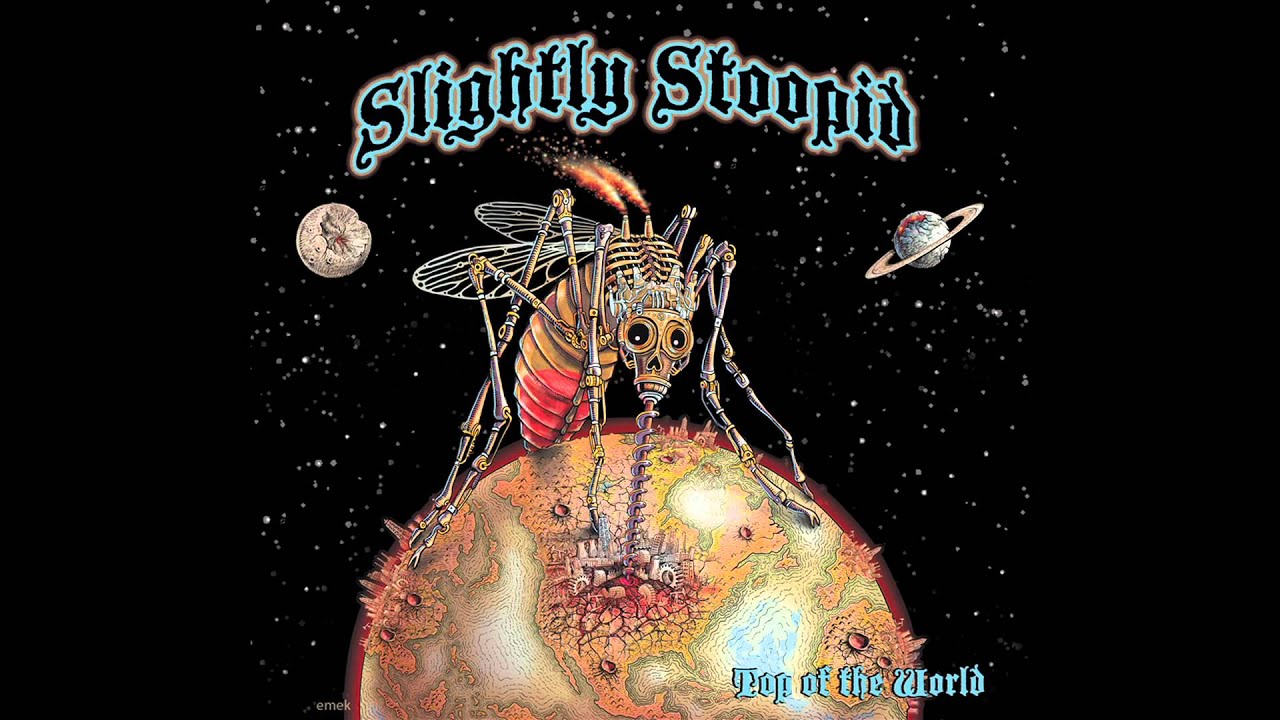 Don't Stop - Slightly Stoopid (Audio)