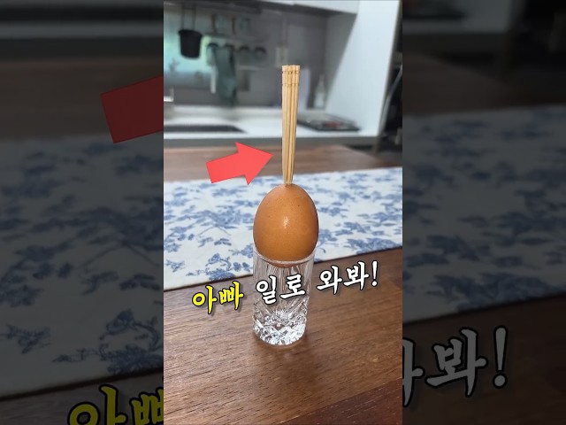 계란 위에 이쑤시개 세우면 10만원 (주기싫음)