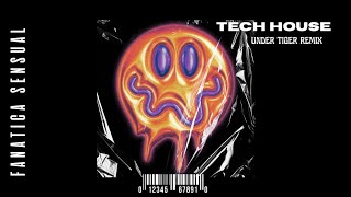 Plan b - Fanática Sensual (Under Tiger Remix) Tech House
