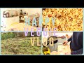 Happy veggie vlog 1 kitchen tour yummy  futur jardin