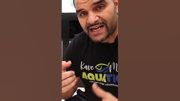 Seamless Sump Upgrade - (More Flow, More Dough) #aquariumhobby #seamlesssump  #cichlid