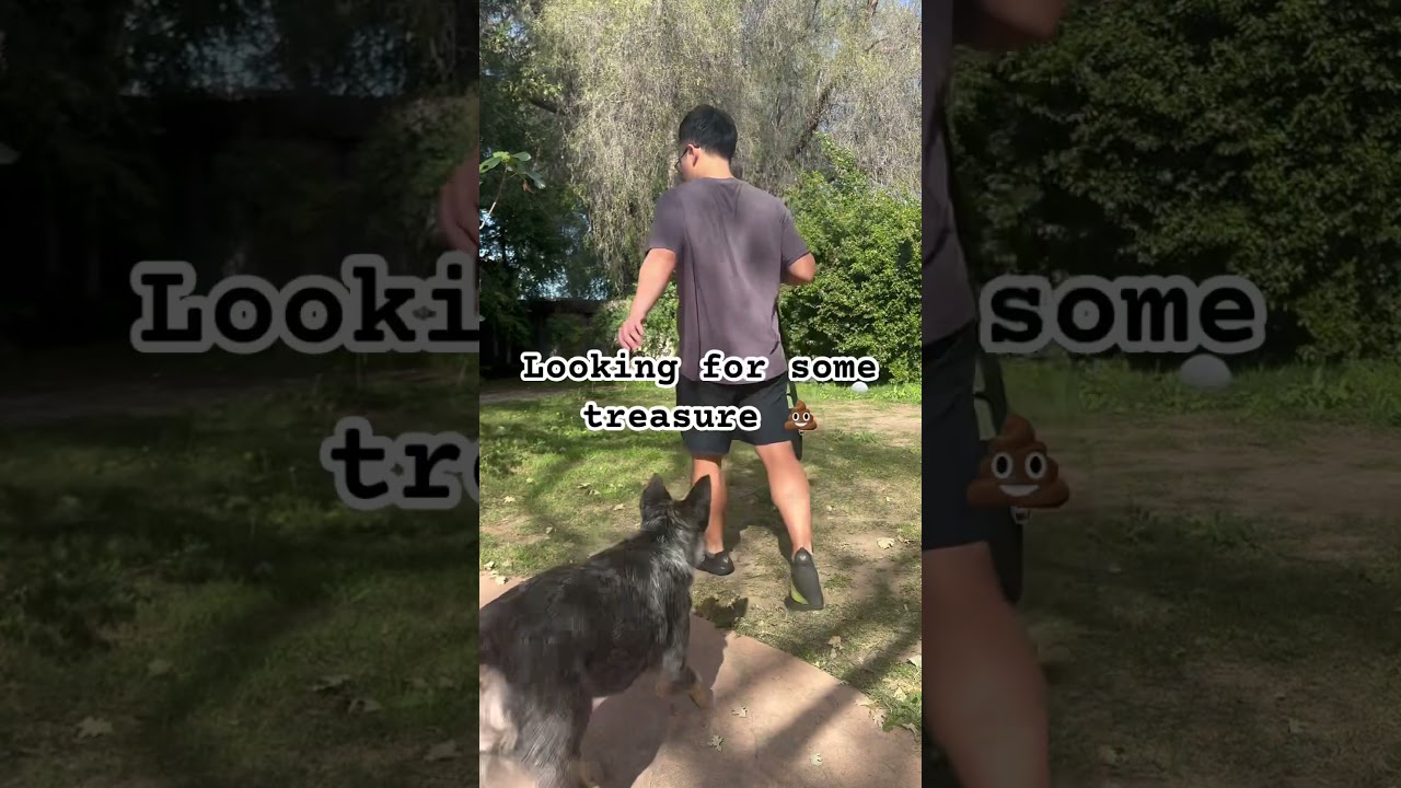 🧠 Quick Win #2: Overwhelmed? Break Big Projects Into Wins | Best EF Coach