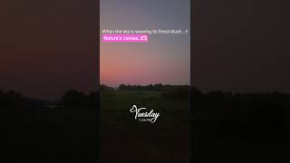 Nature's Canvas...!!🫶🏻 #nature #evening #sunset #sky #pinksky #pink #sky #beautifulsky #naturelovers
