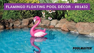 Flamingo Floating Pool Décor