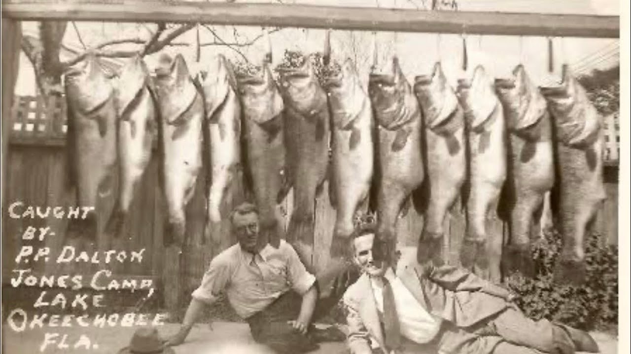 Big Bass Have Disappeared From Our Lakes…HERE Is The Disturbing Reason Why…