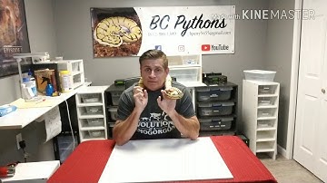 500 Subscriber GIVEAWAY UPDATE