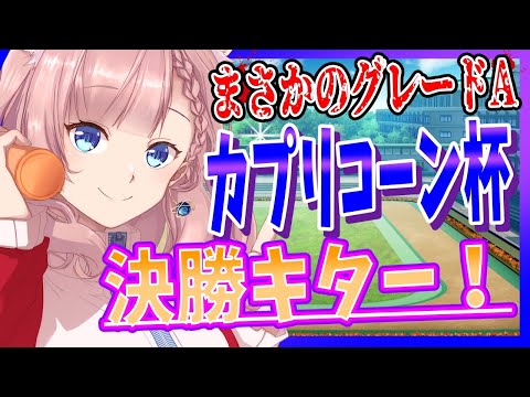 【 ウマ娘 】奇跡を起こせ！ グレードA決勝 ねこっくす猫派【 ＃Vtuber ＃ウマ娘 ＃カプリコーン杯  】