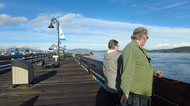 Watch the Vancouver family go downtown in a flurry...