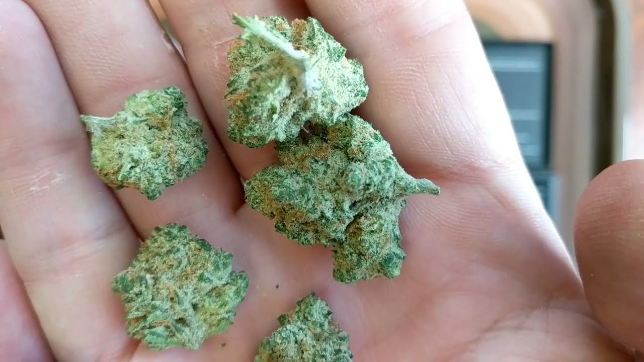 Gooberry Trulieve Eustis 28%