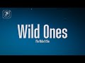 Flo Rida - Wild Ones (Lyrics) ft. Sia