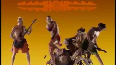RED HOT CHILI PEPPERS  Show me your soul (Official Music Video)