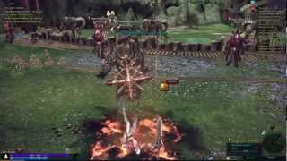 TERA - Castanic Slayer Early Combat