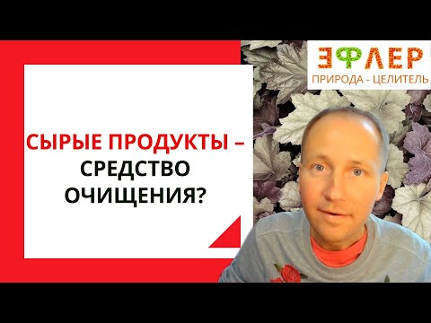 СЫРОЕДЕНИЕ ВЫЛЕЧИТ ВСЕ