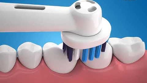 Đầu Bàn Chải Điện Oral B Braun 3D White