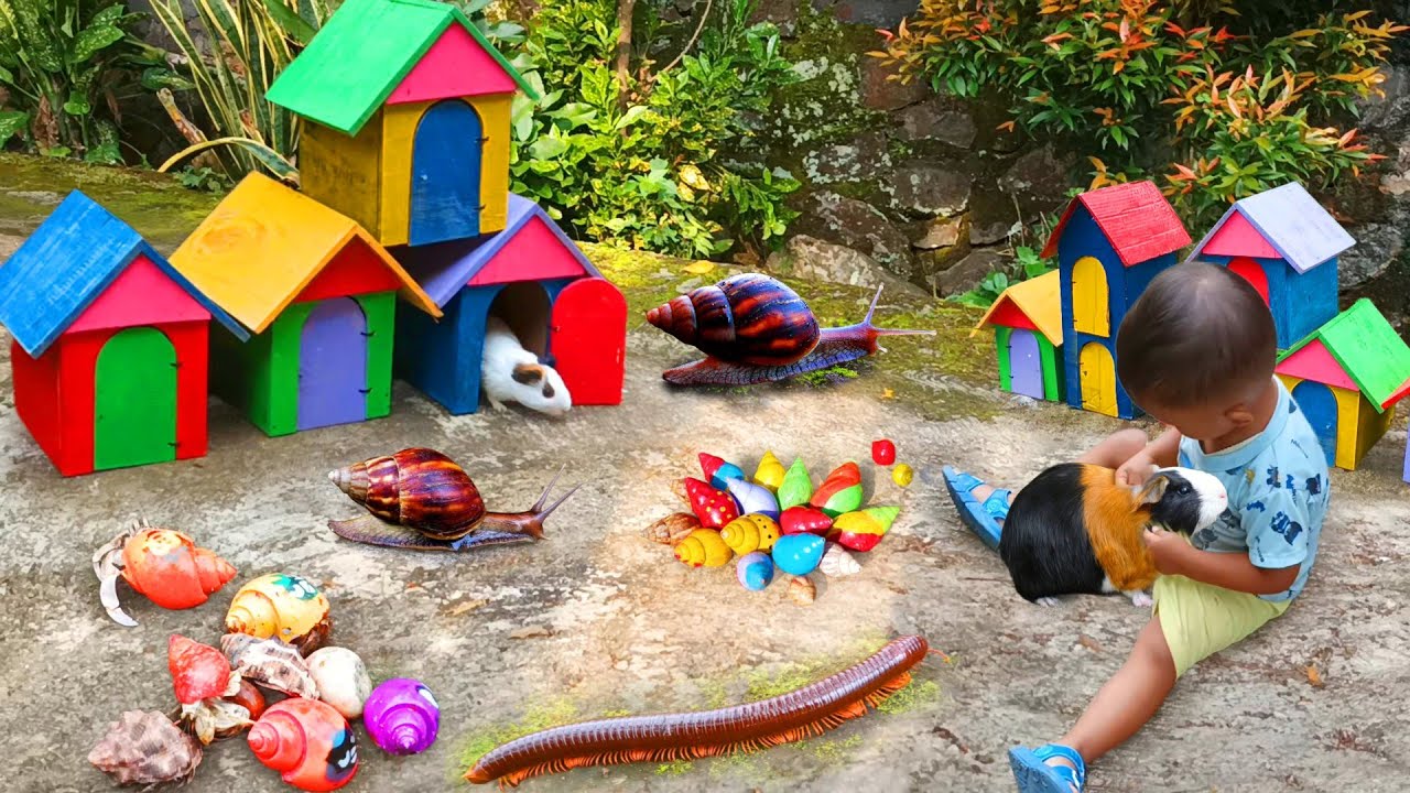 Menemukan Banyak Hewan Keong Bekicot, Luwing Kaki Seribu, Kepiting,  Kelomang