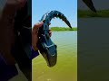 Rc Water Snake Chatpattoytv