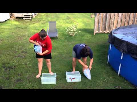 ALS Ice Bucket Challenge