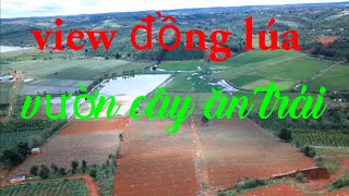 Đất Tây Nguyên,View Đồng Lúacây Ăn Trái 3Ha Giá 1Tỷ850 Lh 0366592989 Hoặc 0971474253
