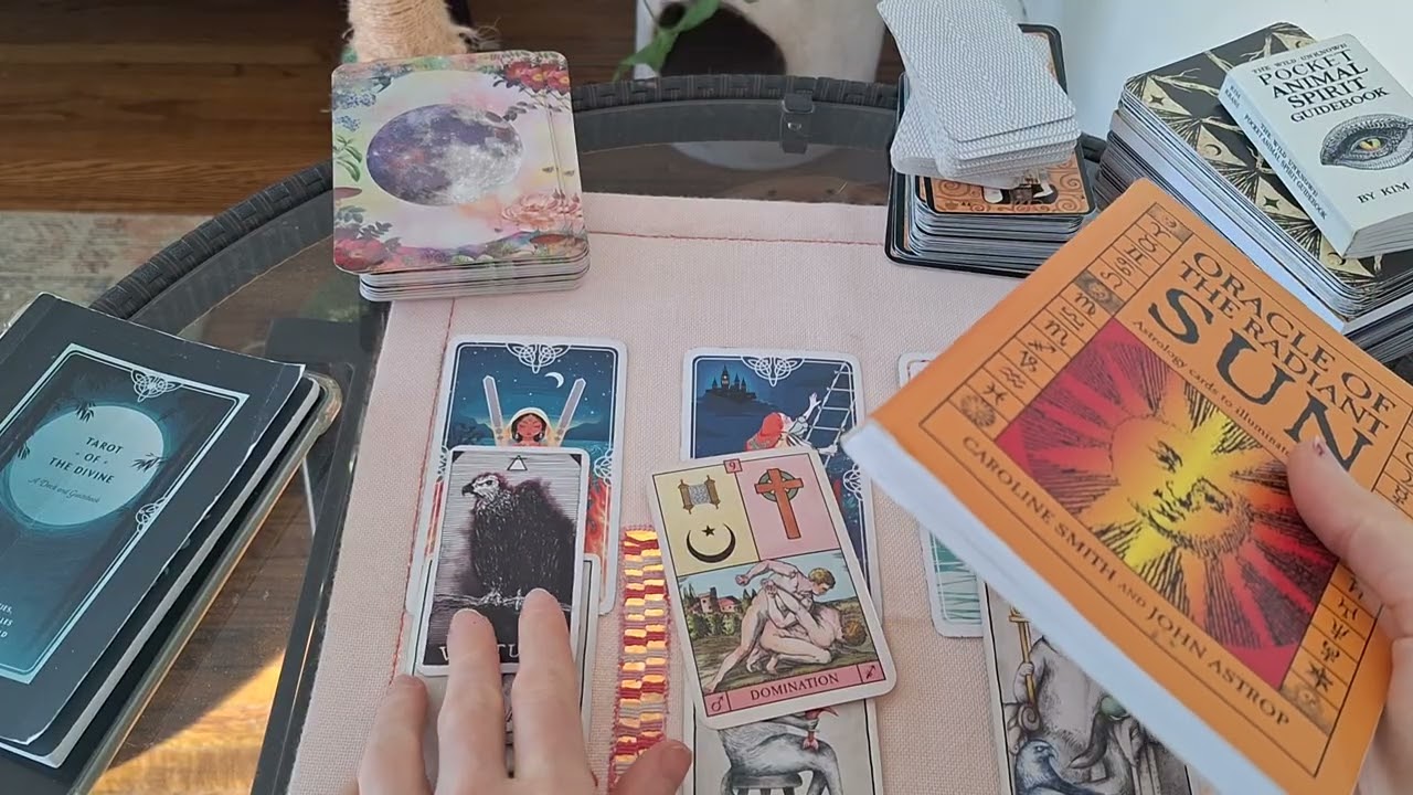 Aslan Burcu 2-8 Şubat Haftalık Tarot Açılımı 