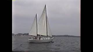 Sheler Stuff Roc And Irona Sailing Together