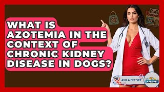 What Is Azotemia In The Context Of Chronic Kidney Disease In Dogs? - Ask A Pet Vet