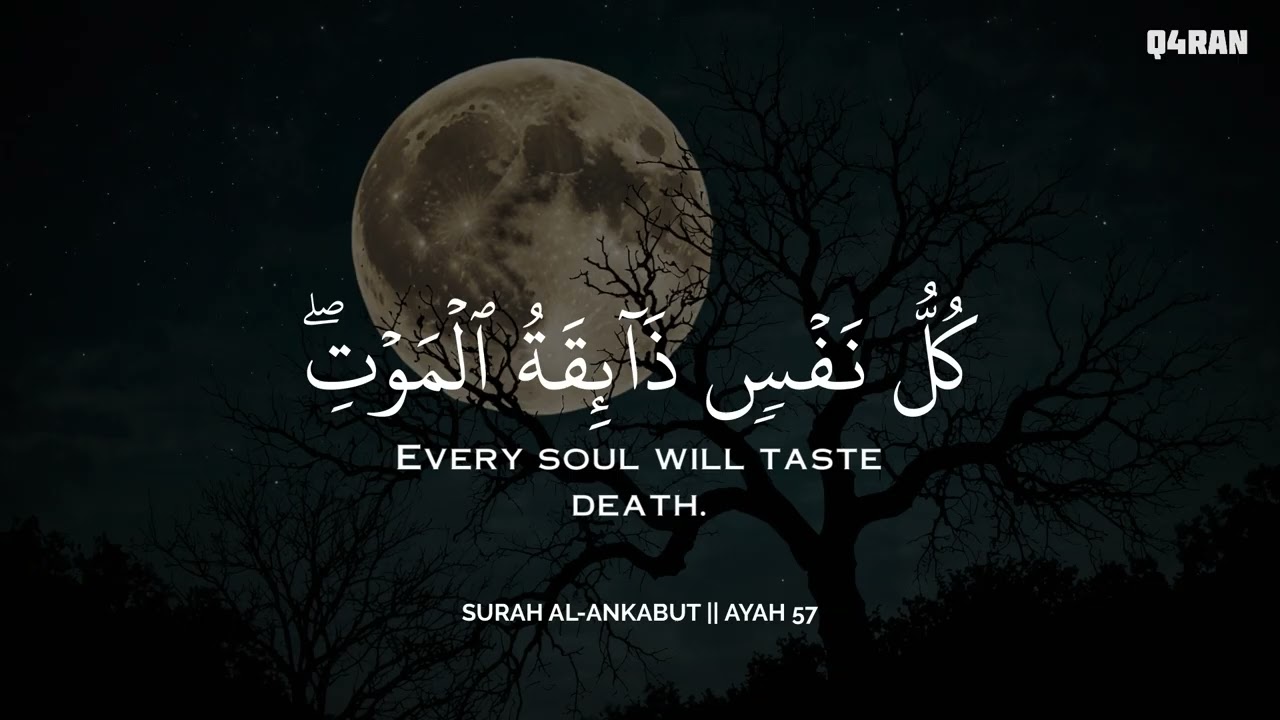 أرح سمعك.. تلاوة هادئة تريح القلب والعقل🩷😴 | ساعة كاملة🕛🎧 القارئ عبدالولي | Abdulwali Alarkani