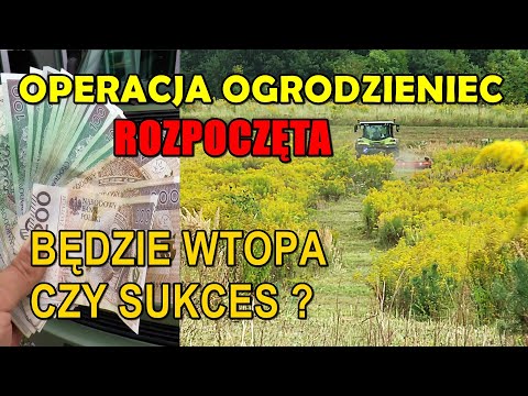 This will be either the biggest flop or a huge flop! OPERATION OGRODZIENIEC has begun!