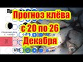 Календарь рыбалки на эту неделю с 20 по 26 Декабря 2021. Прогноз клева рыбы на неделю.